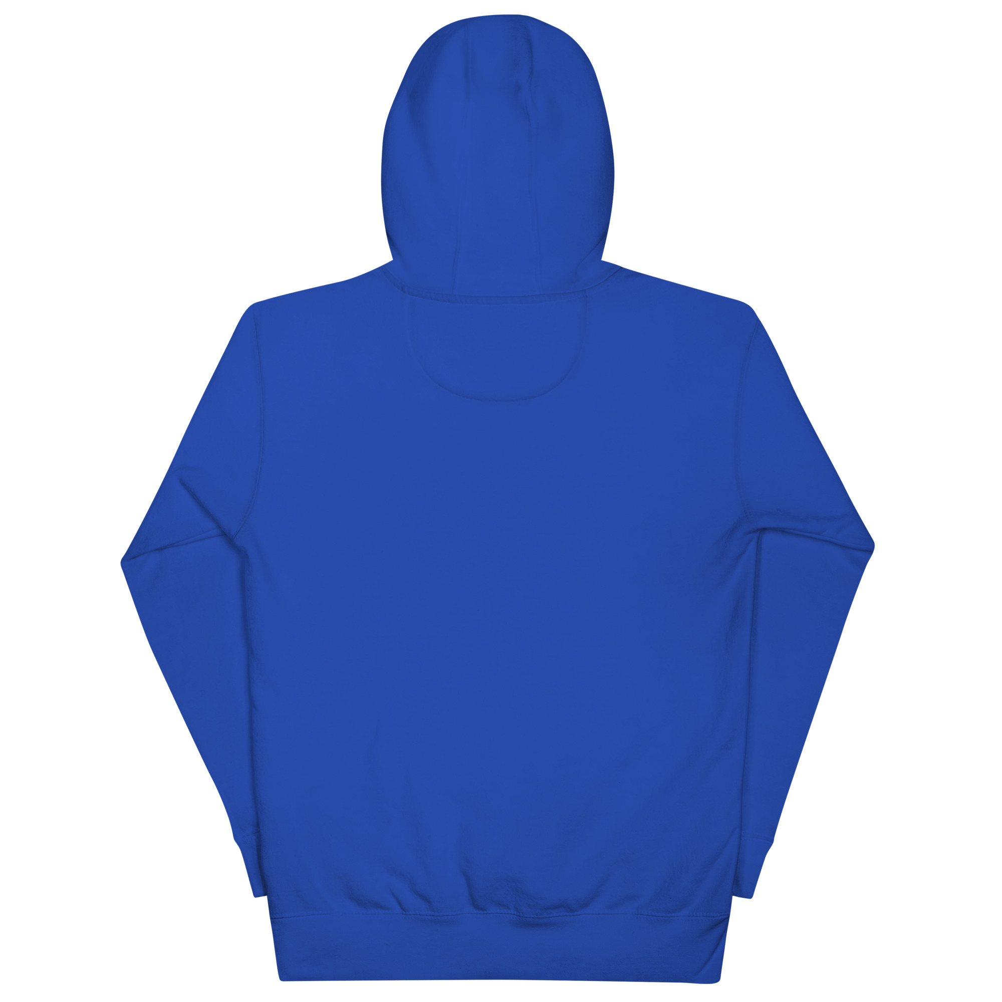 Blue hoodie from the back
